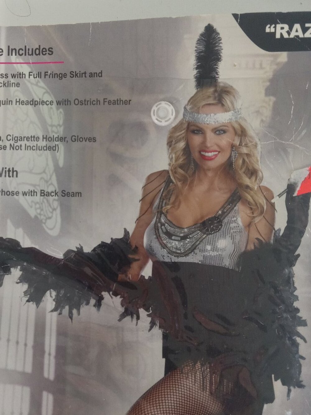 1920'S Razzmatazz Jazz Silver Sequin Fringe Flapper Adult Costume Sz L 8813